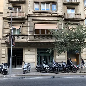 Somnio Affittacamere Barcellona